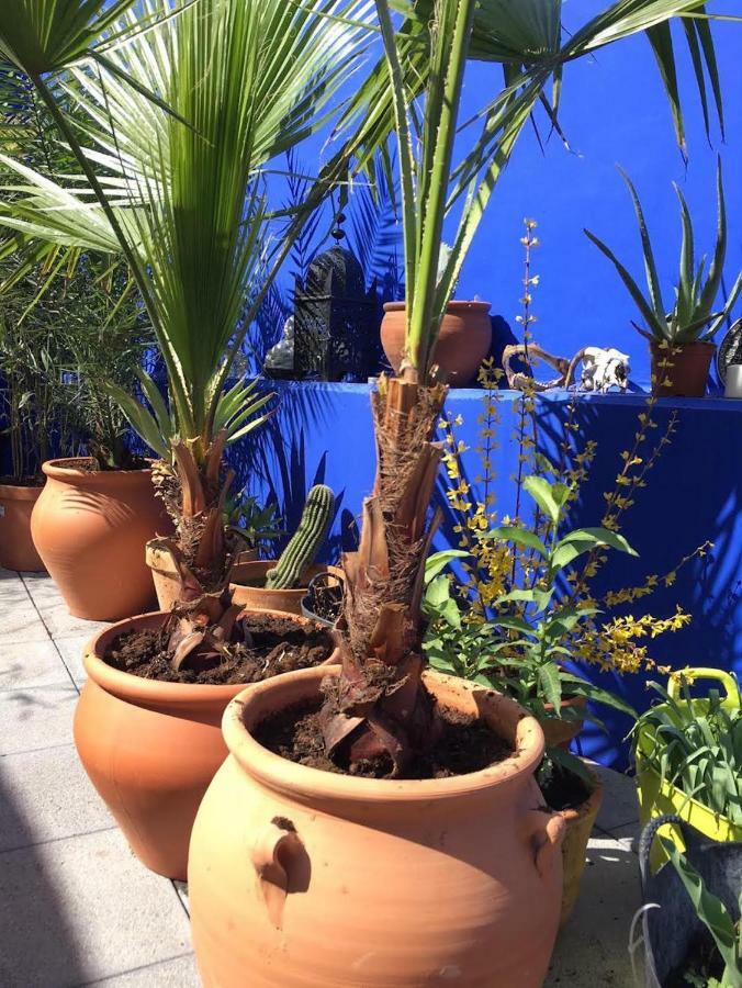 Atelier 88 Bed & Breakfast Alcala La Real Bagian luar foto