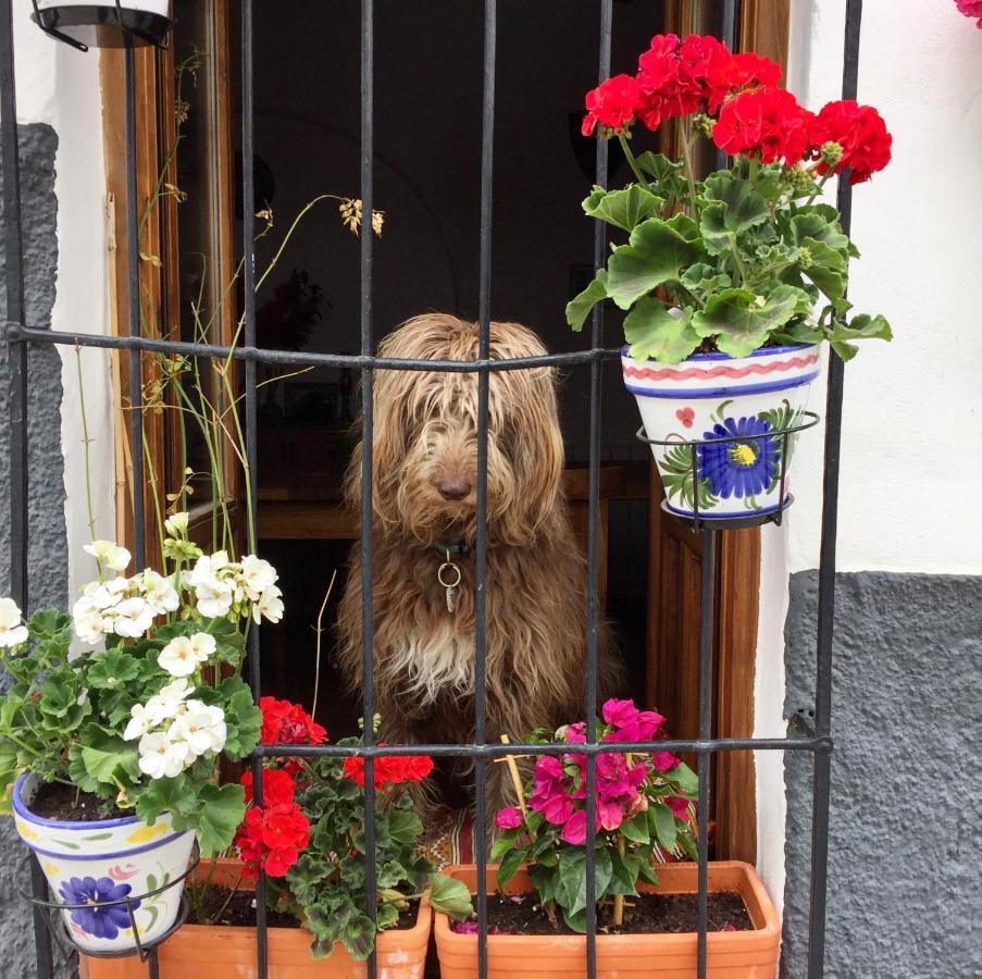 Atelier 88 Bed & Breakfast Alcala La Real Bagian luar foto